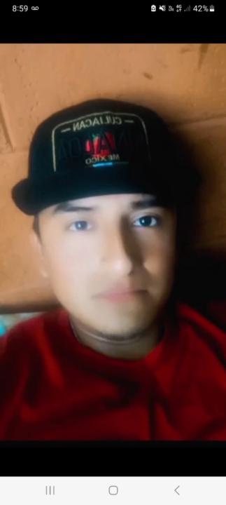 Viveros lazaro Isael