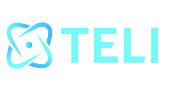 TELI AI (Ai Agents)