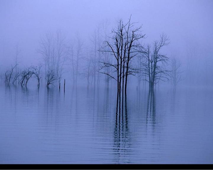 When the Nervous System Finally Feels Safe