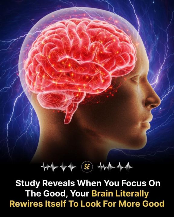 Feed your brain good stuff
