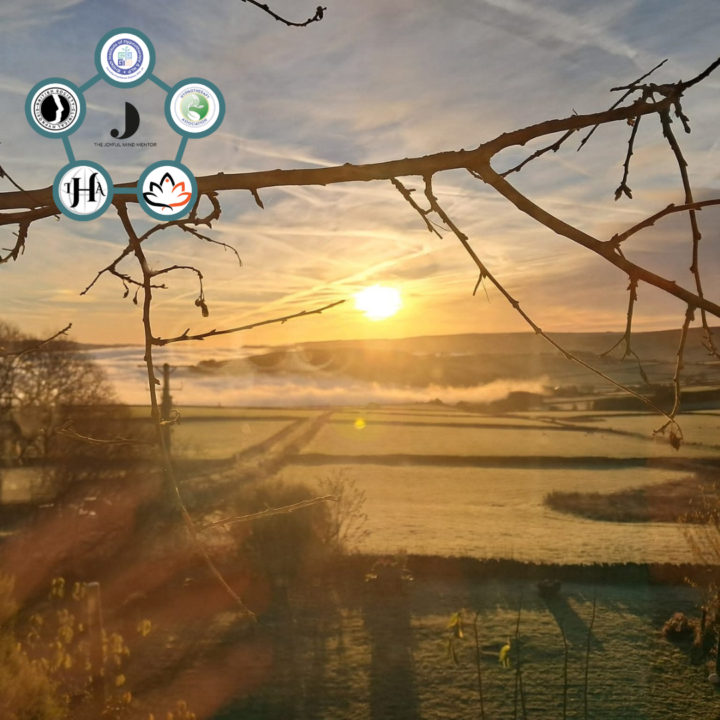 A Christmas Insight: Remembering Where Joy Truly Comes From