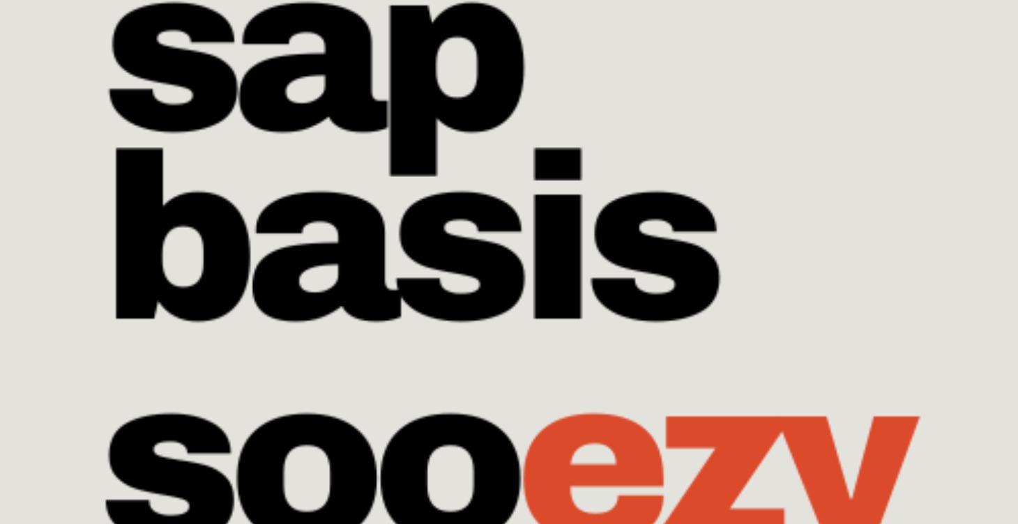 SAP Basis