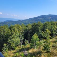 Justyna Kwiatkowska