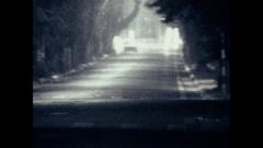 Thanh xuan nghiem Thanh xuan nghiem