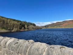 Harris H
