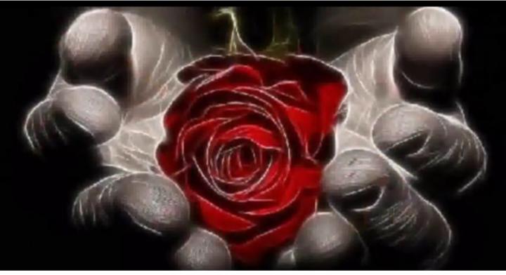 Rose Stumpf