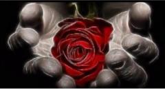 Rose Stumpf