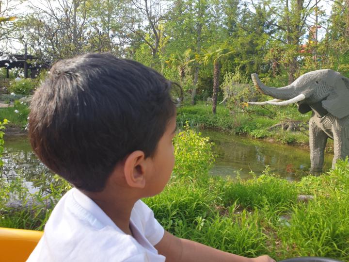 Arathi Jyothindranath