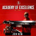 ACADEMY OF EXCELLENCE icon