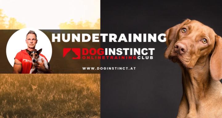 doginstinct Club