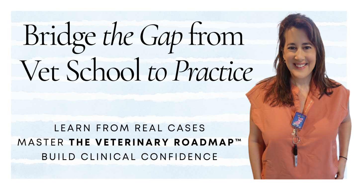 Veterinary Case Confidence