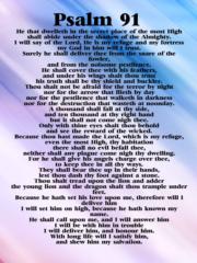 Nia Purposedriven