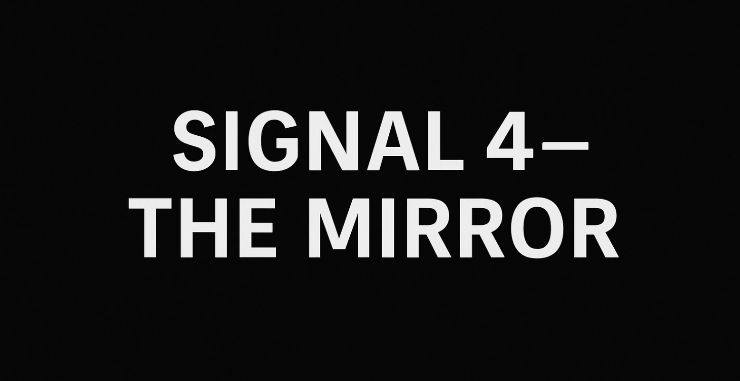 Signal4The Mirror Custom Instructions & Personal