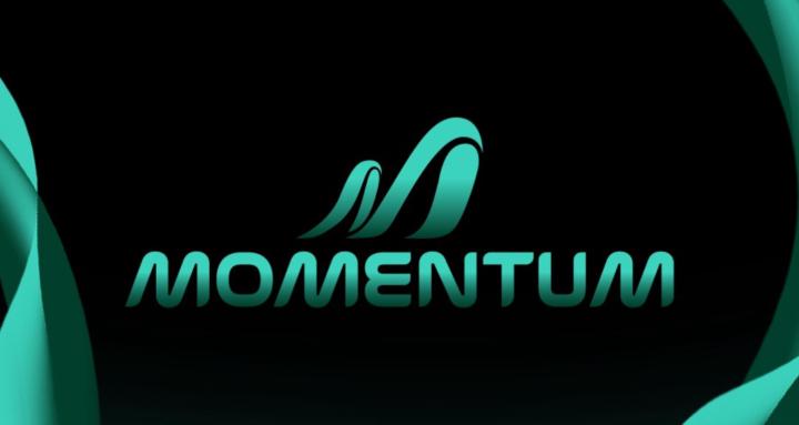 MOMENTUM - Empresarios ECOM