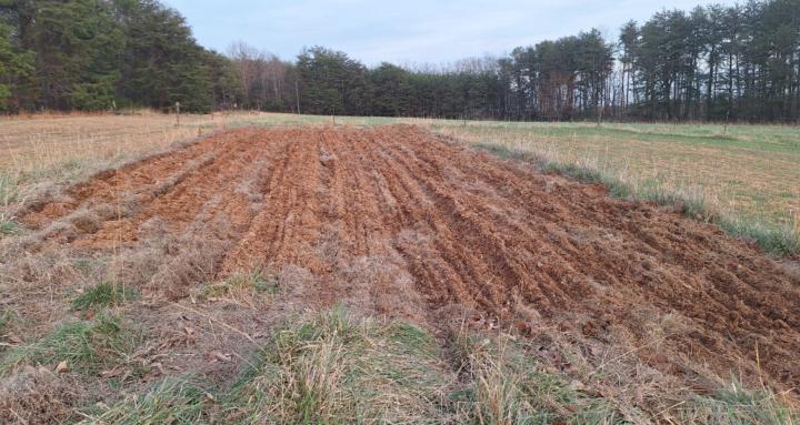 Gardening For Survival