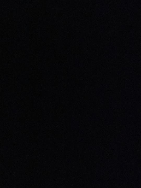 תהילה קסה