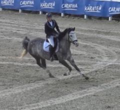 Uschi Pichler
