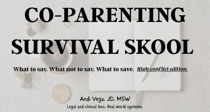 Co-Parenting Survival Skool