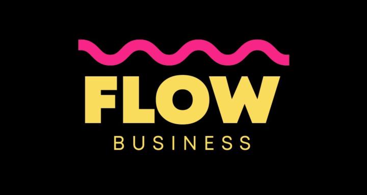 Flow Business Academy