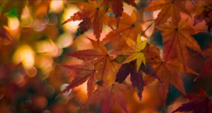 Old Glass, New Vision