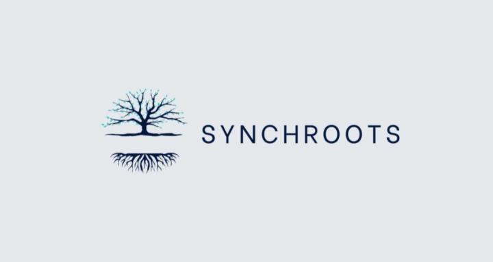 Synchroots Marketing Courses