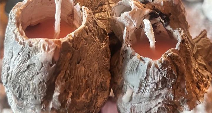 PACIFIC NORTHWEST CANDLE MAKIN