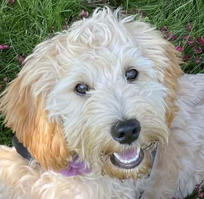 Grateful Heart Monday