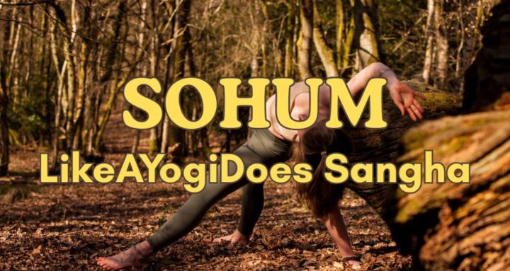 Sohum//Like A Yogi Does Sangha