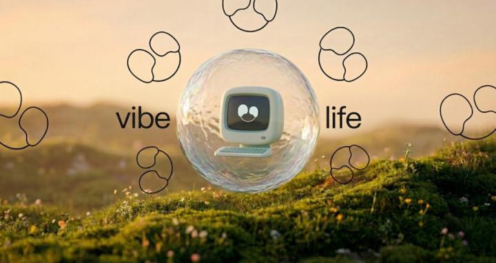 Vibe Life Labs