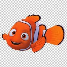 Nemo Nemo