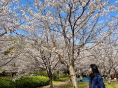 Junsy Ho