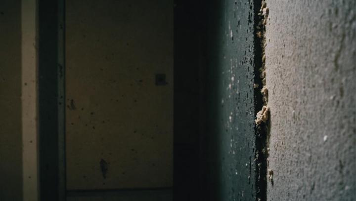 Water Damage Repair Experts in Roscoe, MO