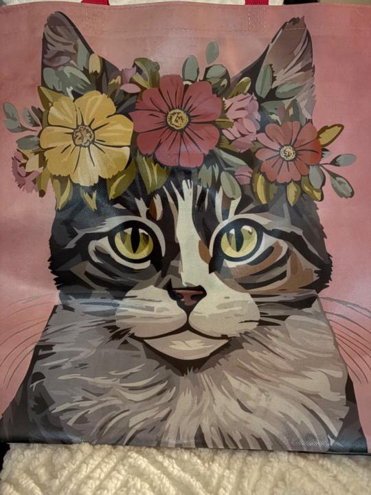 Marlo Cook