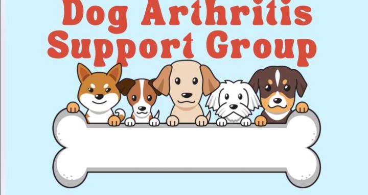Dog arthritis support group