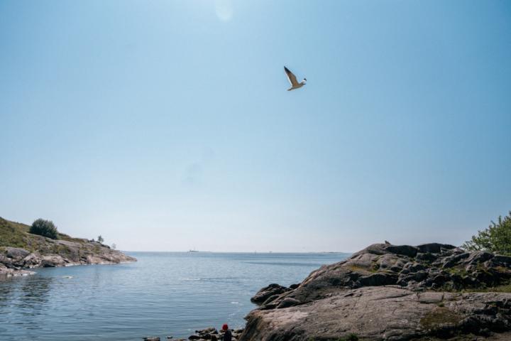 Heta Ängeslevä