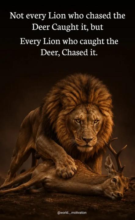 KEEP CHASING 🦁 
