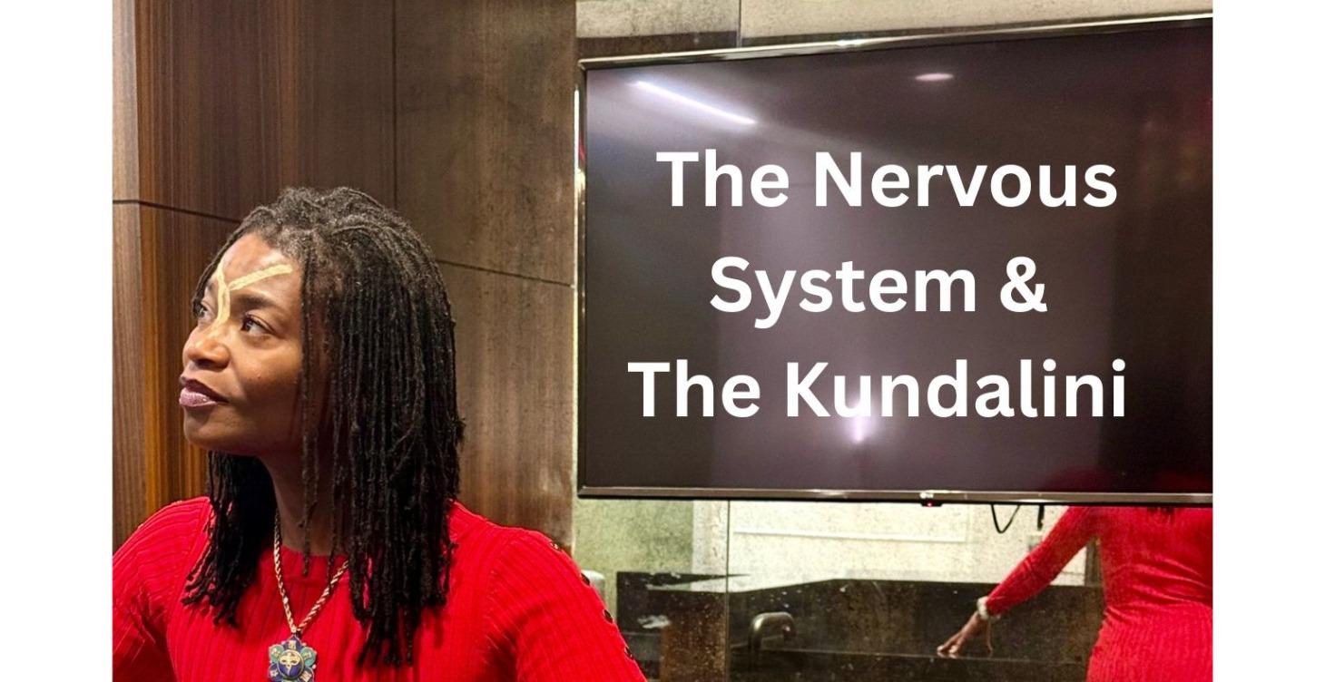 The Kundalini & The Nervous System