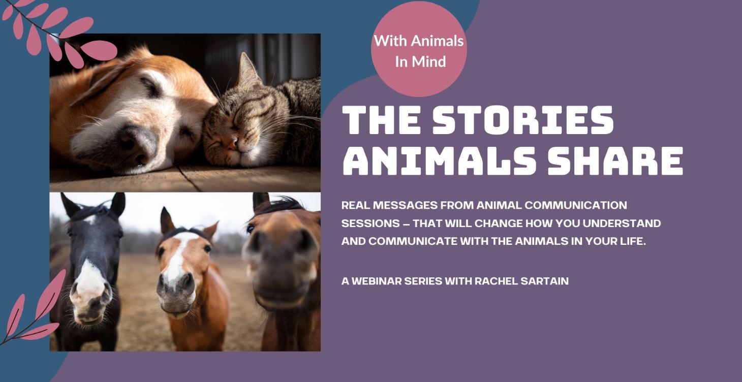 The Stories Animals Share - Webinar Series