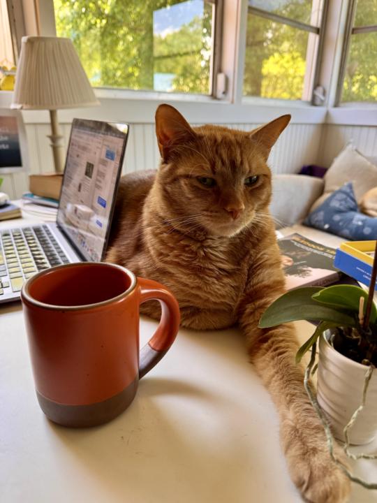 Tuning in with my cat
