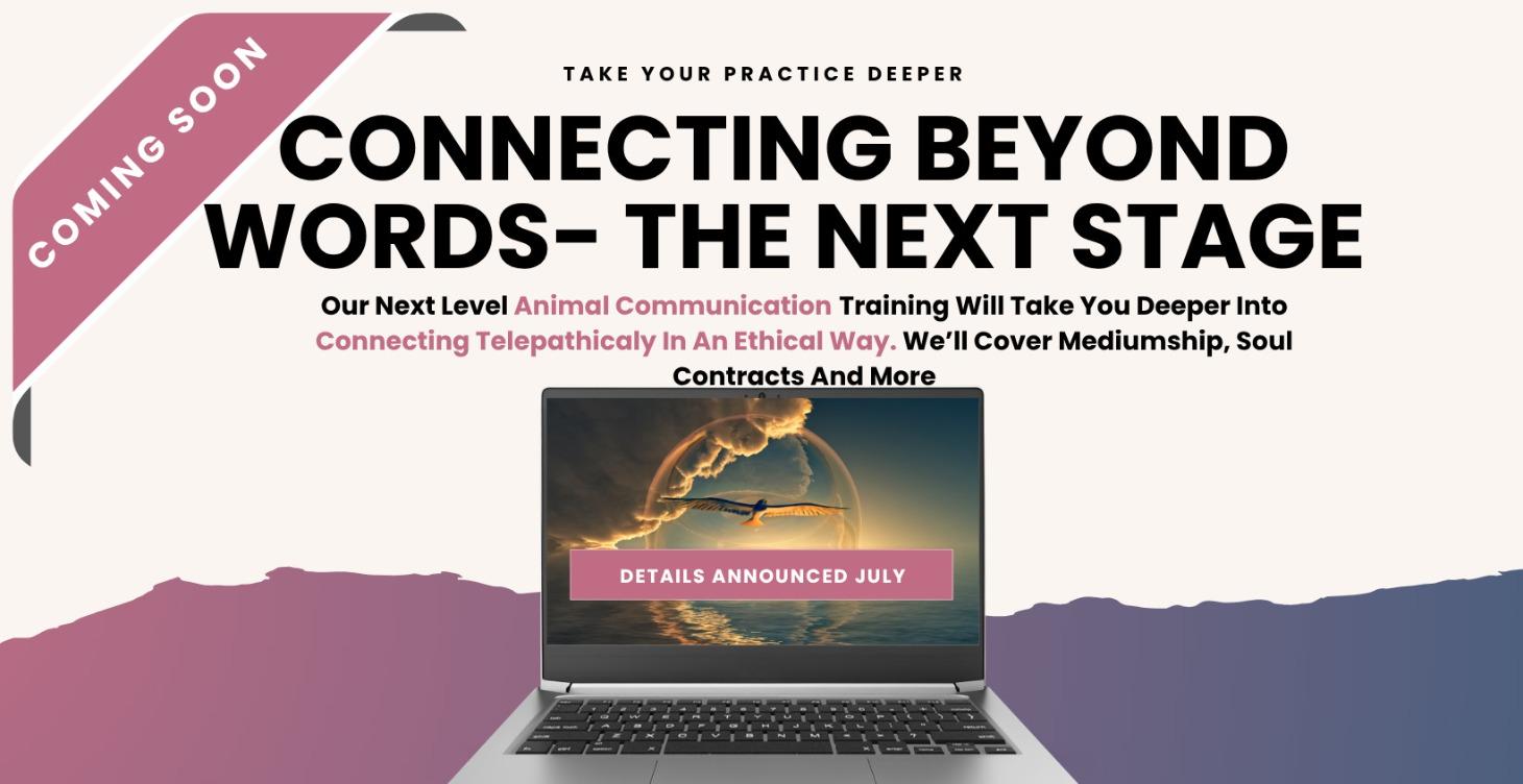 Connecting Beyond Words - The Next Step