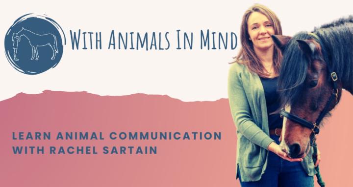 With Animals In Mind