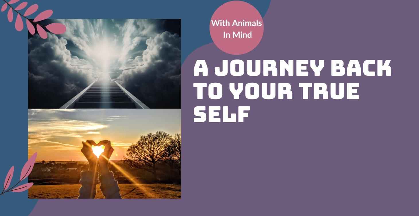 A Journey Back To Your True Self