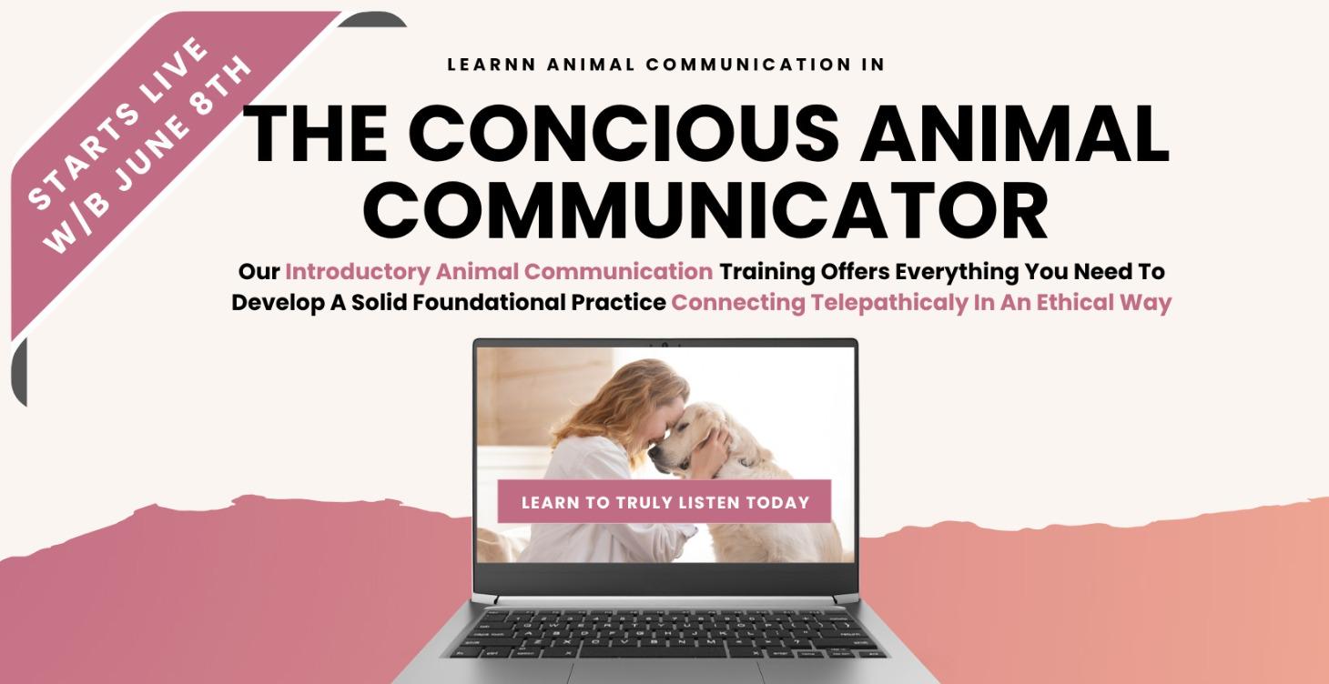 The Conscious Animal Communicator