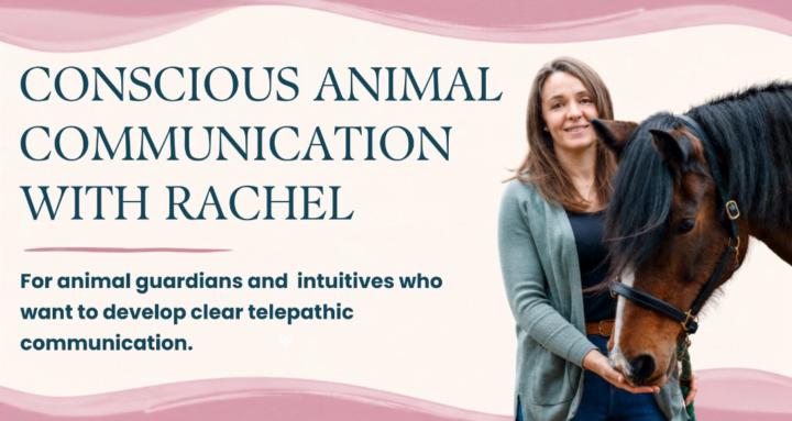 With Animals In Mind