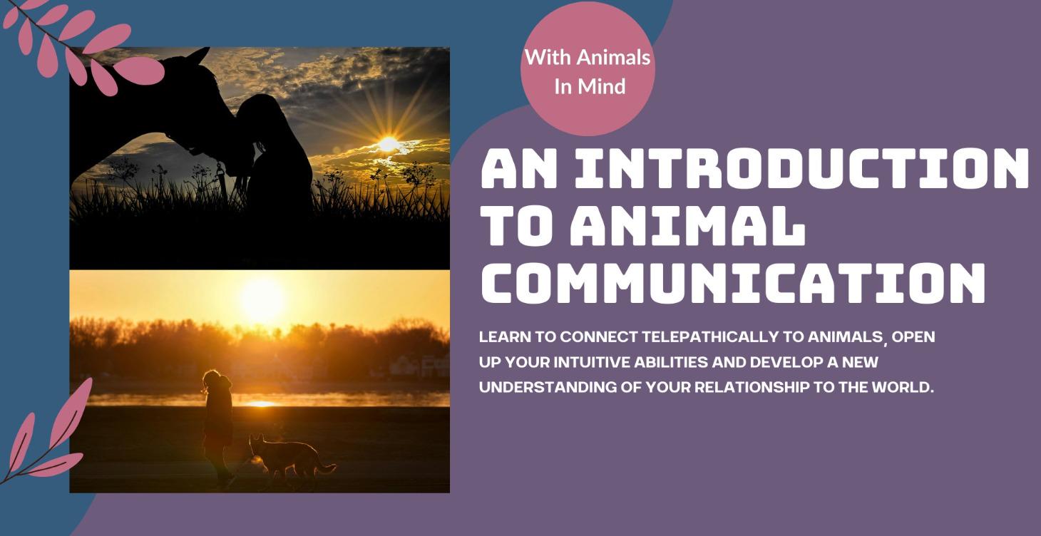 Introduction To Animal Communication