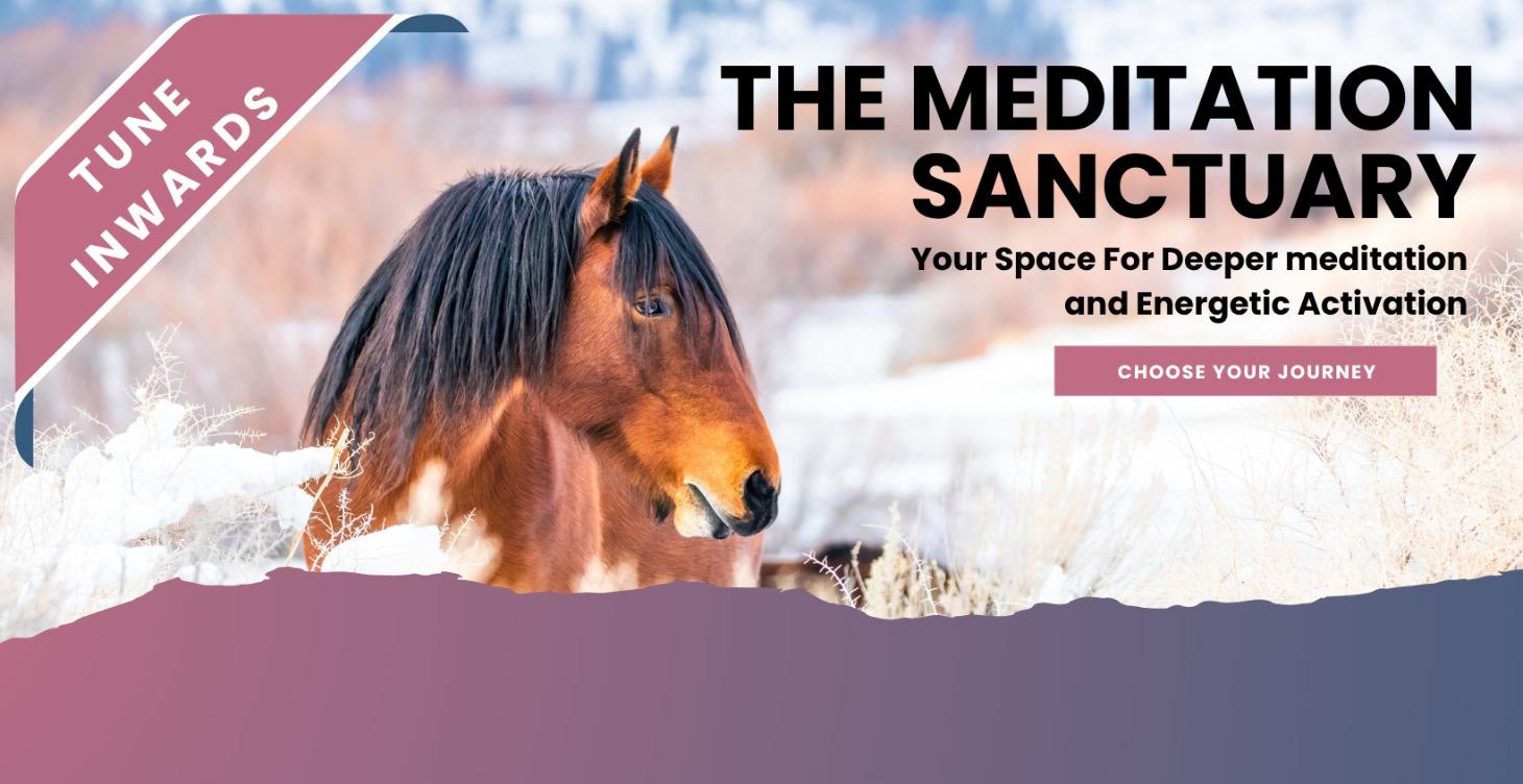 The Meditation Sanctuary
