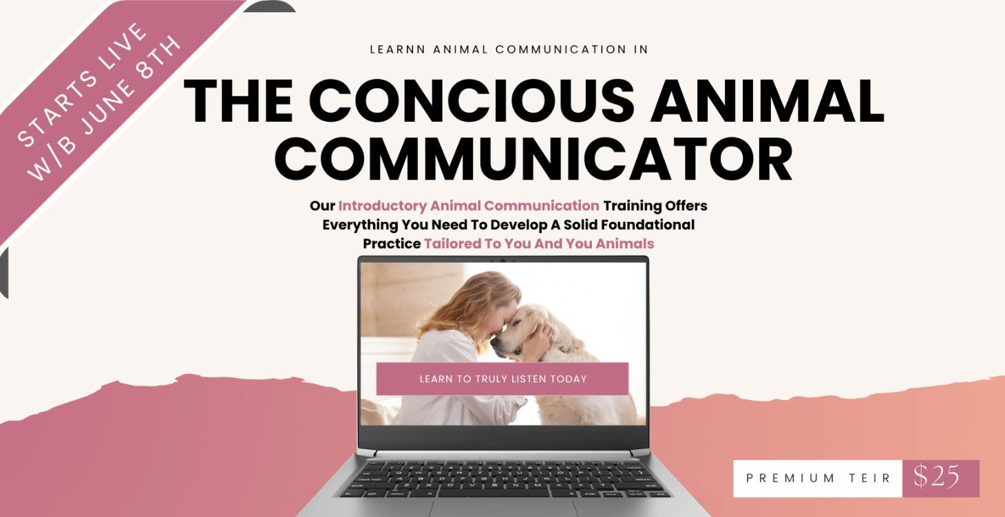 The Conscious Animal Communicator