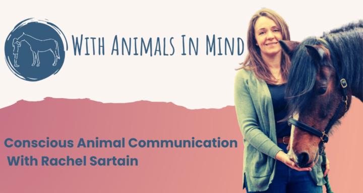 With Animals In Mind