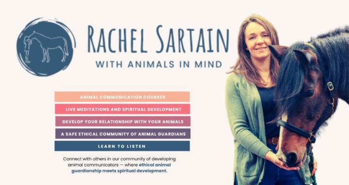 With Animals In Mind