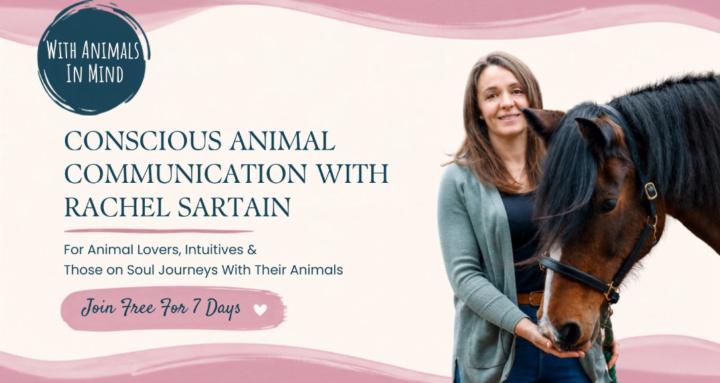 With Animals In Mind